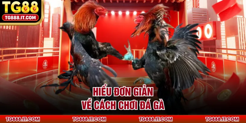 Hiểu đơn giản về cách chơi đá gà